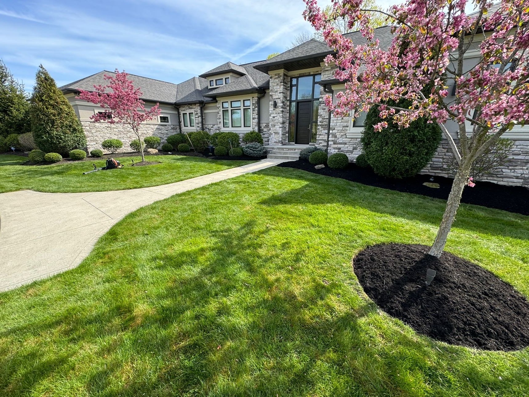 Backyard with clean striped mowing pattern