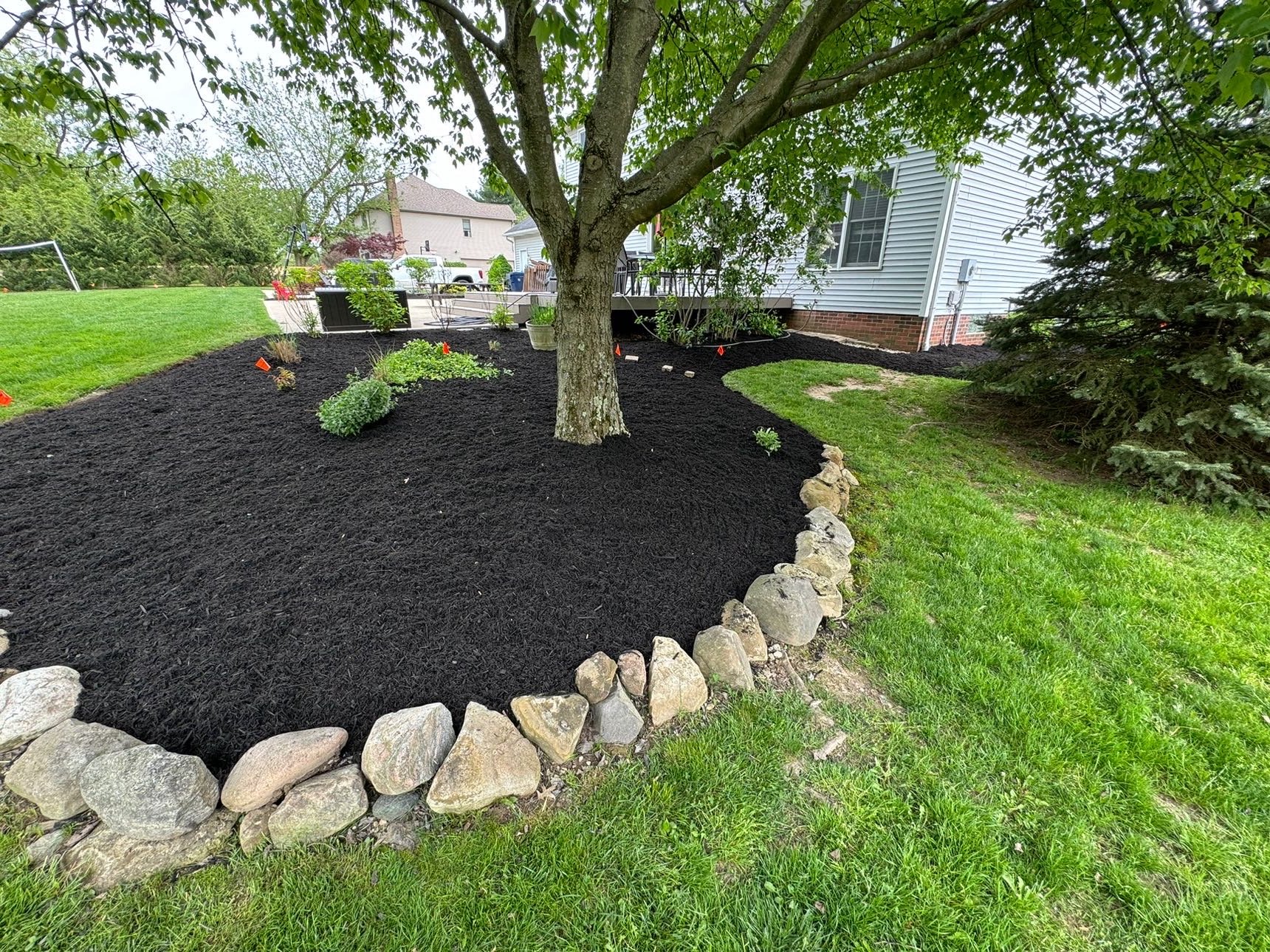 Fresh mulch bed with stone ring around a mature tree