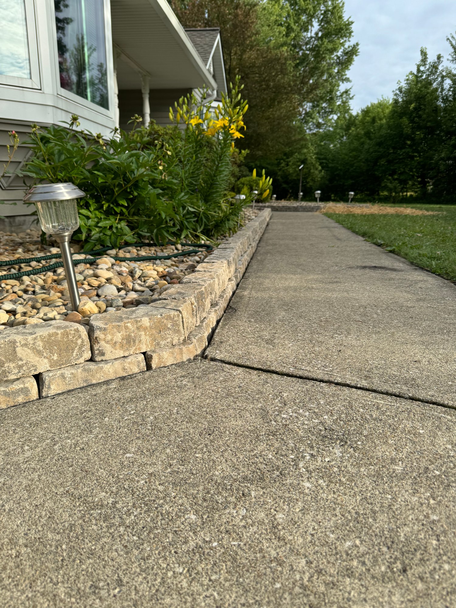 Concrete sidewalk beside landscaped garden