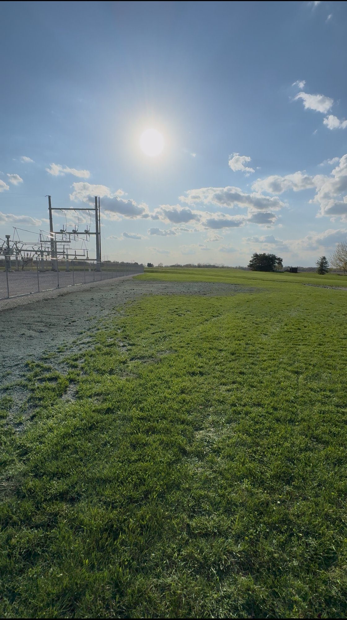 New grass establishing in rows across a freshly seeded site in Northeast Ohio