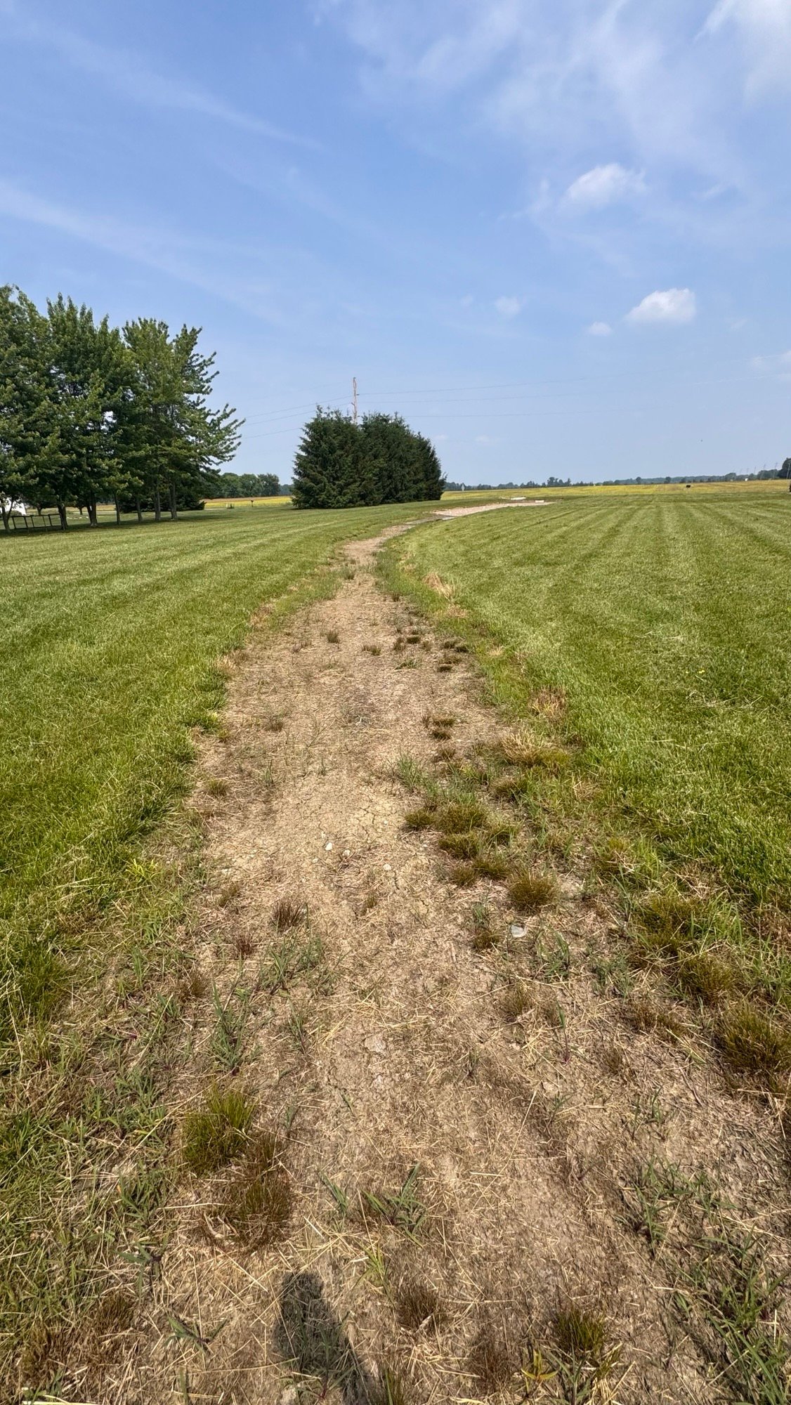 Graded drainage swale across an open site